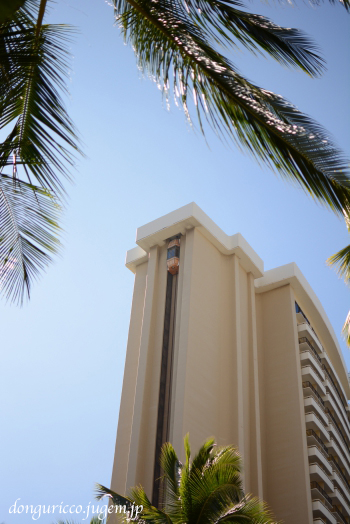 20150218-4.JPG