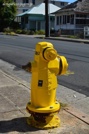 20150313-4.jpg