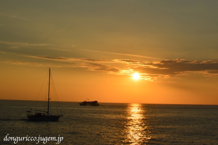 20150313-9.jpg