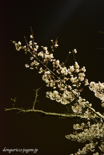 20150405-1.jpg