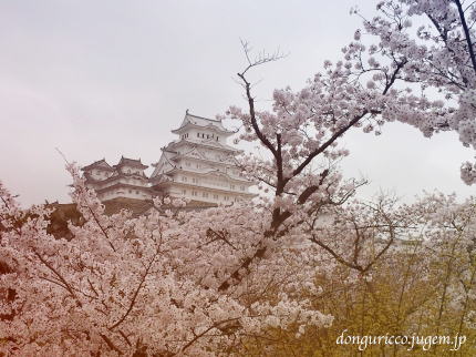 20150405-4.jpg
