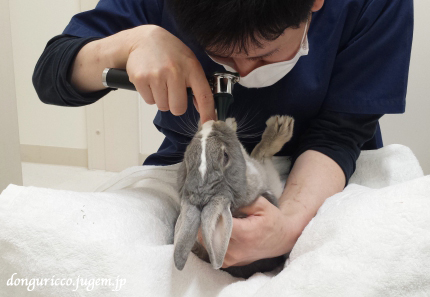 20150425-6.jpg