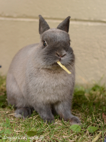 20150501-8.jpg