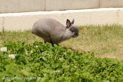 20150501-10.jpg