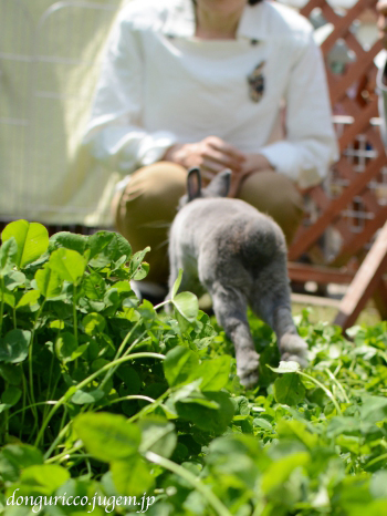 20150501-12.jpg