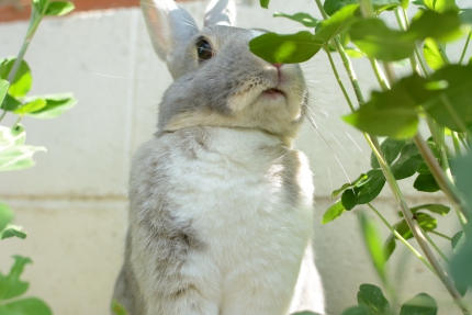 20150503-4.JPG