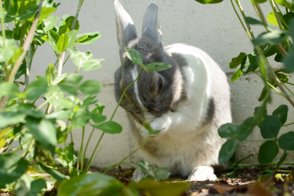 20150503-5.JPG