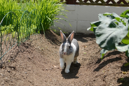 20150503-6.JPG