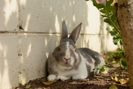 20150503-7.JPG
