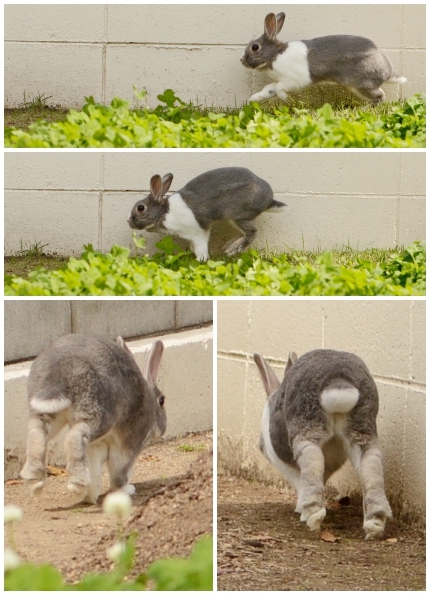 20150503-8.jpg