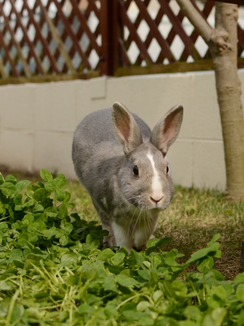 20150503-9.JPG