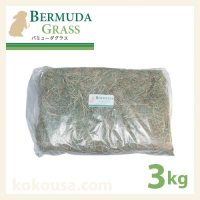 bermuda3.jpg