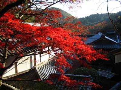 神峯山寺00