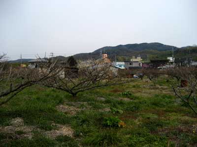 青谷2