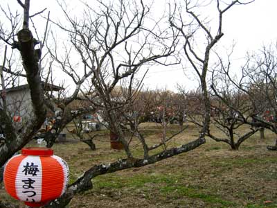 青谷7