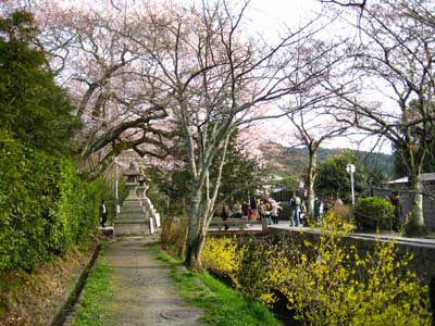 京都2