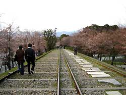 京都7