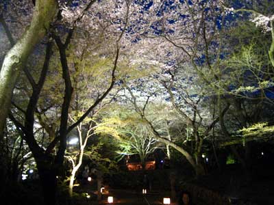 三井寺1