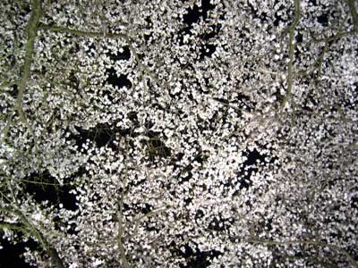 三井寺2