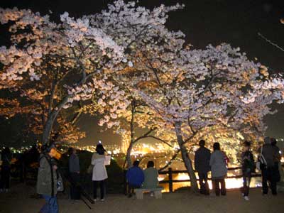 三井寺4