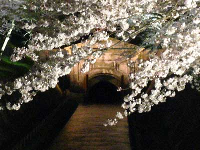 三井寺6