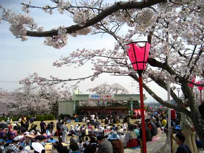 高槻25
