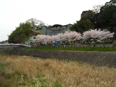 高槻28