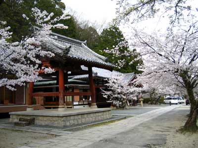 高槻29