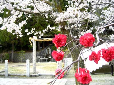 高槻30