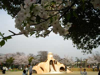 高槻33