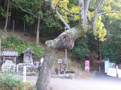高槻 京坂越