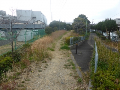 豊中市 穂積村囲堤