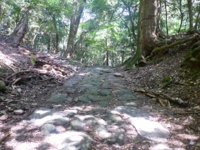 奈良市 柳生の道