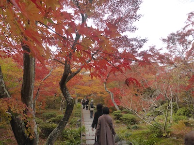 京都市 紅葉