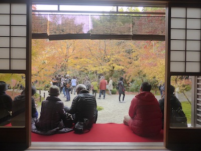 京都市 紅葉