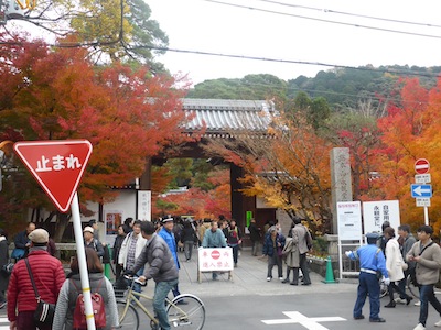京都市 紅葉