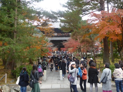 京都市 紅葉