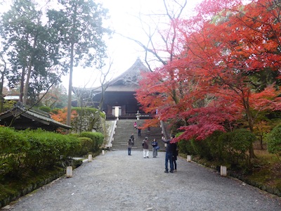 京都市 紅葉
