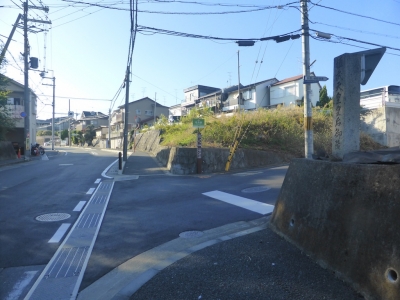 向日市 竹の径