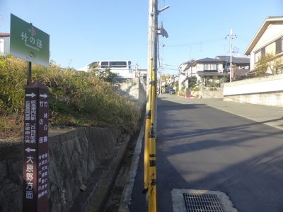 向日市 竹の径