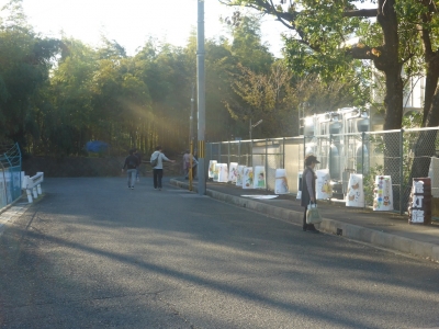 向日市 竹の径