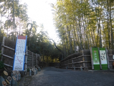 向日市 竹の径