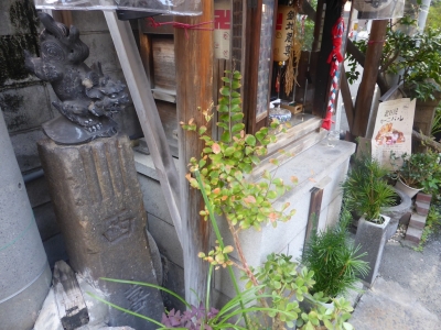 大阪市 天満 堀川