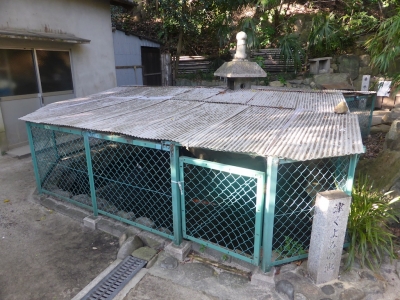 吹田市 垂水神社