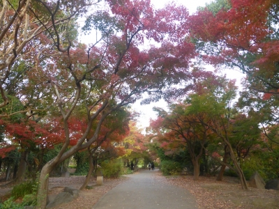 京都 梅小路公園