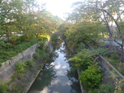 豊中市 天竺川