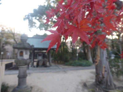 西宮市 岡太神社