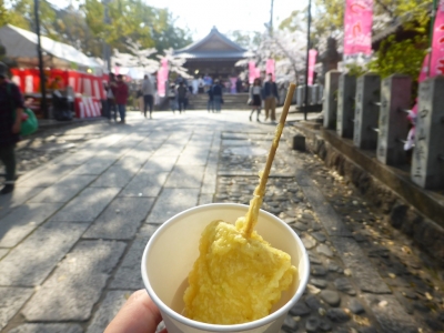 向日市 向日神社