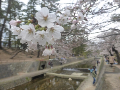 西宮市 夙川