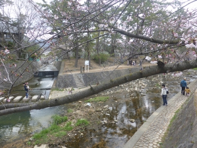 西宮市 夙川